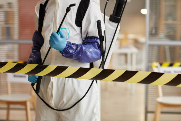 Professional Sewage Cleanup technician working in Monrovia, IN